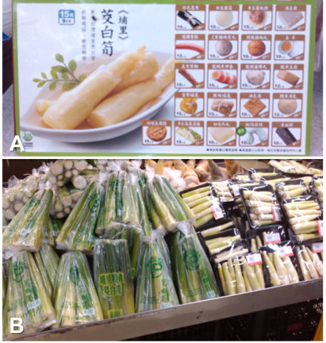 圖 4 一年四季皆可購得茭白筍。埔里的茭白筍一年四季皆可收穫，可全年供應消費者的需求，在超商（ A ）或大賣場（ B ）購得 