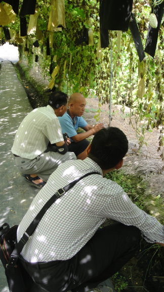 溫偉毅（藍衣者）接受 陪伴輔導師現場輔導防治植株根瘤線蟲技術 