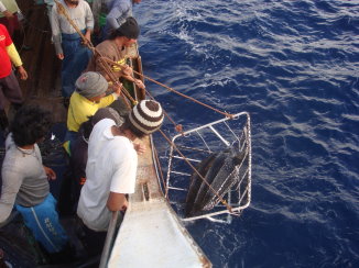 陳世文船長設計的「吊籃」 