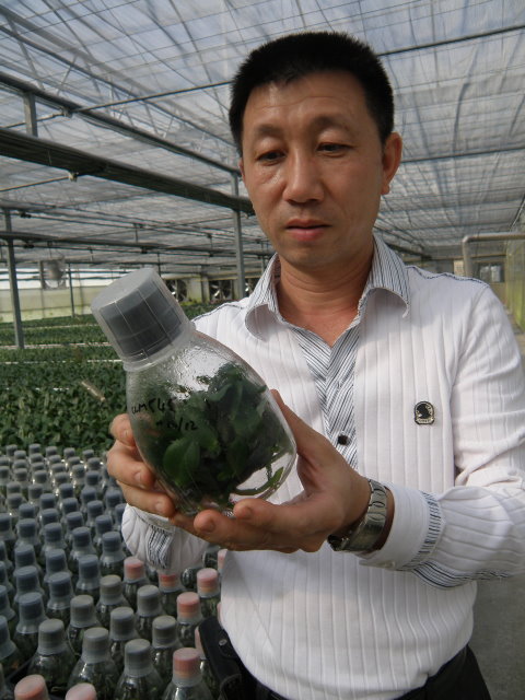 董又銘不厭其煩觀察瓶裡花苗，瞭解蘭花發育情形 