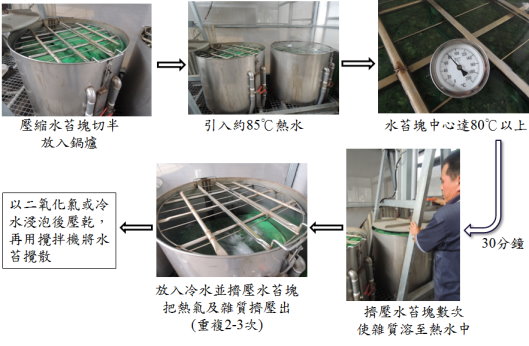 進口水苔建議處理流程 進口水苔建議處理流程