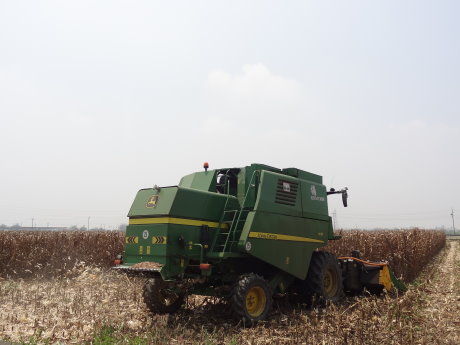 義竹鄉農業經營專區機械採收玉米情形 義竹鄉農業經營專區機械採收玉米情形