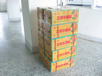 查獲自中國大陸違規輸入砂糖桔 （ 外包裝 ） 