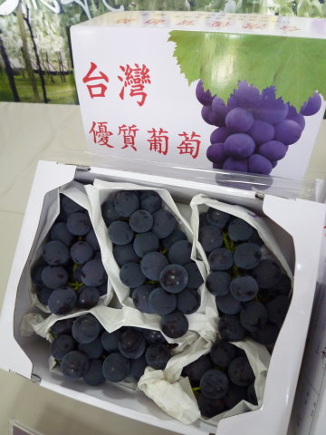 臺灣主要鮮食葡萄品種－巨峰 