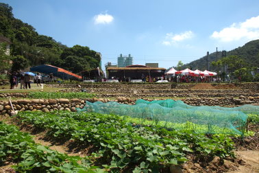 社區菜園 