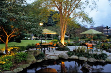 休閒農場親近可愛動物（左）或體驗自然生態（右）最紓壓