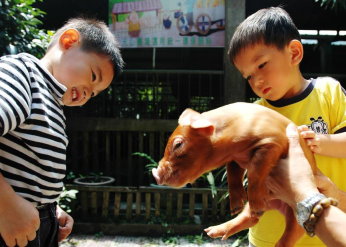 休閒農場親近可愛動物（左）或體驗自然生態（右）最紓壓