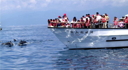 搭乘娛樂漁船賞鯨豚