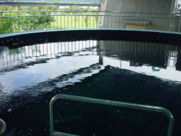 利用深層海水進行鮪類養殖，左上圖為深層海水取水管以水泥塊固定後，再沈入海底佈設