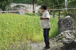 圖1 小米田以人工拉繩驅鳥 圖1 小米田以人工拉繩驅鳥
