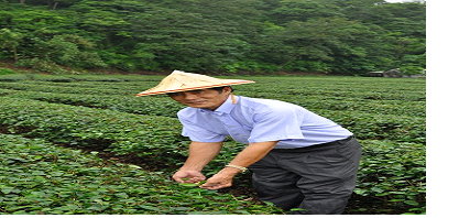 李木番達人小檔案 
