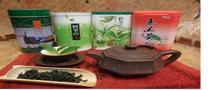 利用天然防治法生產具產銷履歷驗證的茶（冠諭提供） 