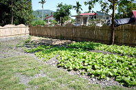 社區的開心農場 