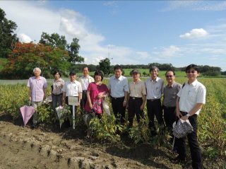 聘請國內專家學者共同審查命名為大豆臺南 10 號 聘請國內專家學者共同審查命名為大豆臺南 10 號