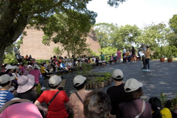 重建後大製材廠旁的榕樹平臺是最適合舉辦活動的開放空間（陳林燊提供） 