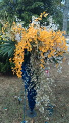 05 文心蘭切花新品種結合花藝設計發表 05 文心蘭切花新品種結合花藝設計發表