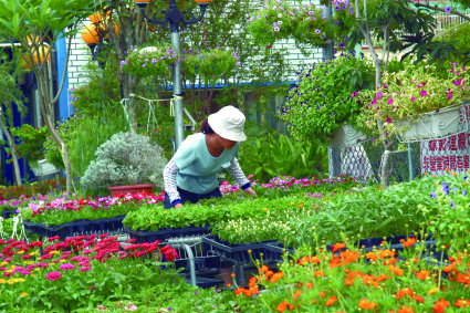 建構新價值鏈農業，讓農業成為有活力、有競爭力的產業