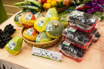 2014 達人李文修的小番茄 