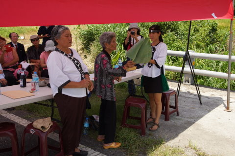 部落傳統作物文化與農產業永續息息相關 