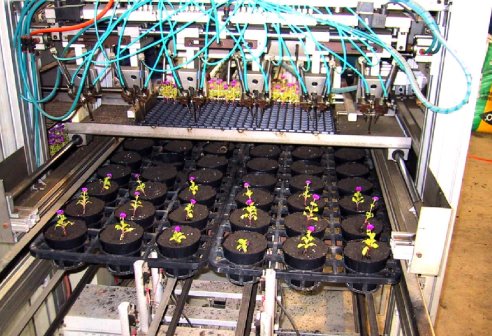 建立自動化生產系統，有效解決草花種苗生產作業之人力瓶頸。 