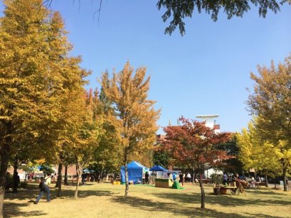 農業大學校園一隅