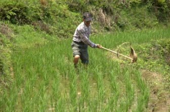 田邊聊寮靠一群在地壯年憑著記憶投入修復（圖/人禾基金會）