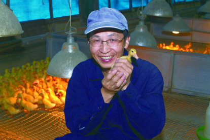 現任行政院農業委員會畜產試驗所宜蘭分所主任劉秀洲系統性選育優良種鴨 