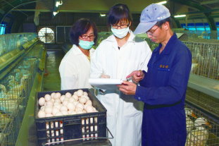 輔導民間種鴨場場建立家族選拔 