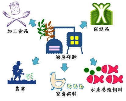 海藻發酵產物應用層面廣泛， 可望創造出 海藻產業新價值 