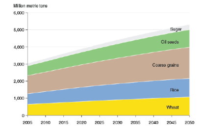 附圖 2 　 2005-2050 年作物生產量趨勢圖 