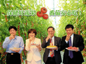 農委會與衛福部聯手出擊，化解網路迷思，番茄營養價值高，安心食用沒煩惱。左起食藥署主任秘書羅吉方（左 1 ）、農委會農糧署林副署長麗芳（左 2 ）、台北榮民總醫院臨床毒物與職業醫學科葛謹醫師（左 3 ）及臺南場場長王仕賢（左 4 ） 