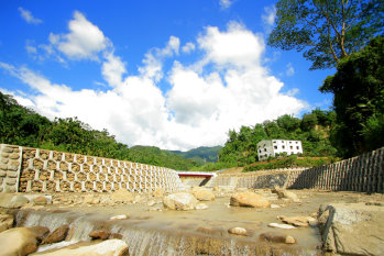 採用枝幹式護岸,營造水生物避難空間及多樣性棲地  採用枝幹式護岸,營造水生物避難空間及多樣性棲地