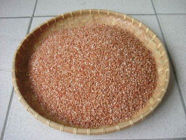 紅糯糙米外觀呈現亮麗之艷紅色澤 
