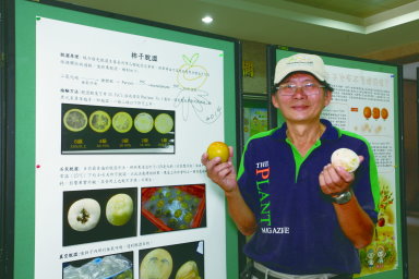 謝慶昌副教授為臺灣本土澀柿脫澀技術之研發第一人 