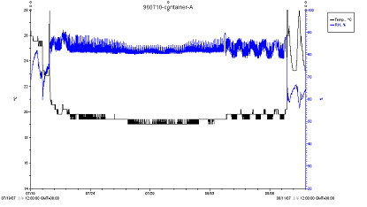圖 1 　以貨櫃種類 A 海運蝴蝶蘭之溫濕度變化，溫度（黑色線）穩定維持於 19.5 ℃左右，濕度（藍色線）可降至 85%RH 左右 