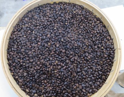 圖 11  咖啡豆  圖 11  咖啡豆