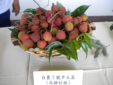 早大荔（農糧署南區分署莊志豪提供） 