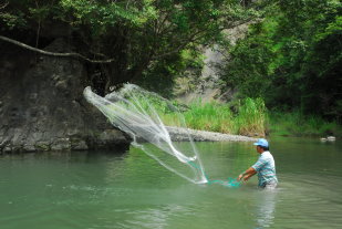 野溪捕魚體驗 
