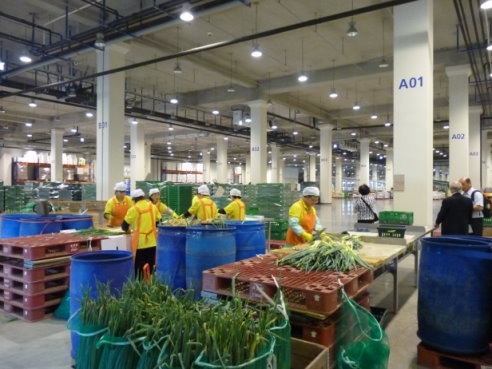 圖 3 　安城物流中心全區圖 