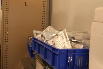 圖 8 　 ICRISAT 基因庫肩負保存人類重要糧食的重責大任 