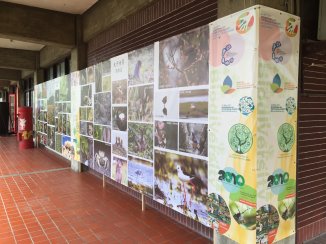 利用臺大農業陳列館外牆辦理影像展不受開放時間限制 