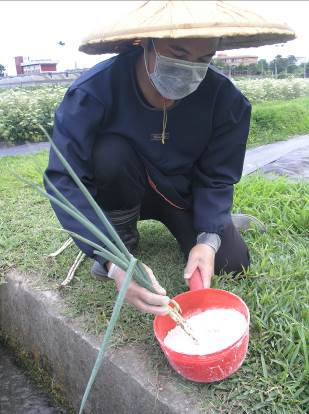 操作矽皂土時應戴口罩防護，避免吸入粉塵影響健康 