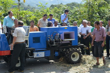 桃改型自走式綠竹殘枝粉碎機粉碎稻稈操作情形 