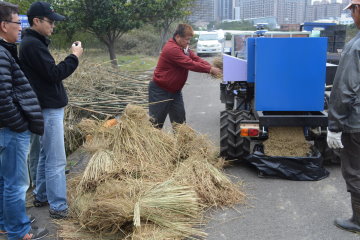 桃改型自走式綠竹殘枝粉碎機粉碎綠竹竹稈作業情形 