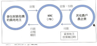 圖 6 　農家活化計畫圖 
