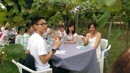 臺中永豐社區葡萄園餐桌活動 