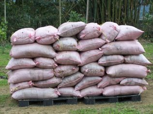 圖 2 　利用袋式堆積法製作稻殼雞糞堆肥情形─以交叉堆疊方式層層堆積 