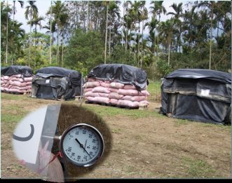 圖 3 　利用袋式堆積法製作稻殼雞糞堆肥情形─最上層覆蓋塑膠布可防雨，外罩可透氣不織布可防低氣溫 