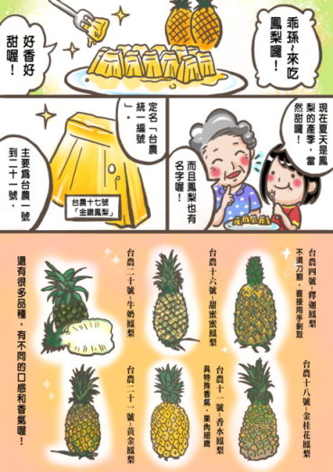 農業漫畫第一名作品之 1 ：哇！鳳梨的好滋味！（繪製 / 簡怡佳及簡怡佩）