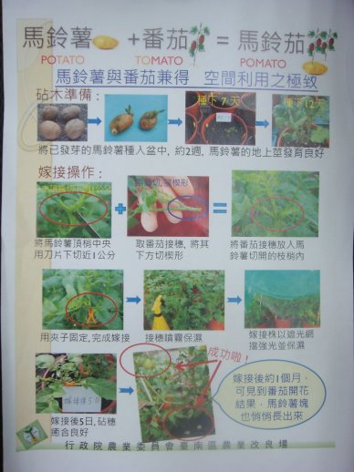 提供圖解之嫁接步驟供民眾參閱 